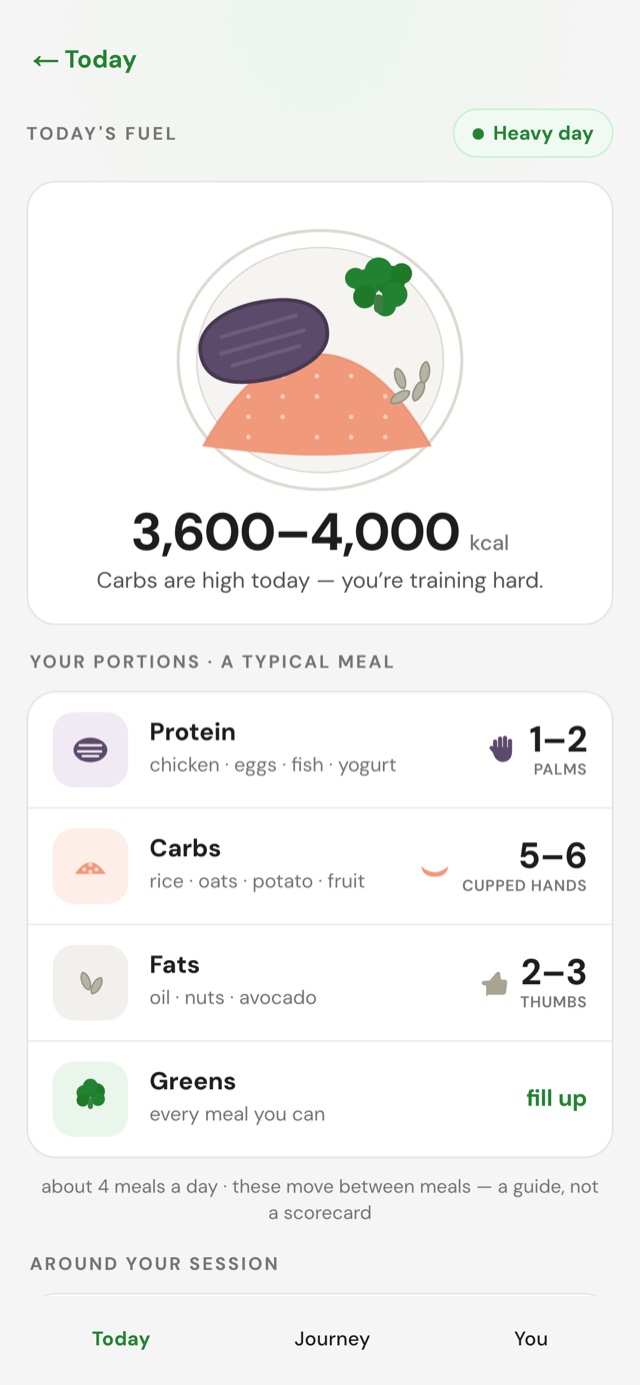 Daily fuel screen: a plate model, calorie range for the day, and hand-portion guidance for protein, carbs, and fats